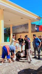 Anggota DPRD Lampung Selatan Jadi Juru Sembelih di Hari Raya Qurban 1447 H. 